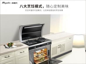 集成灶十大品牌哪個牌子好 十大熱銷品牌一覽表